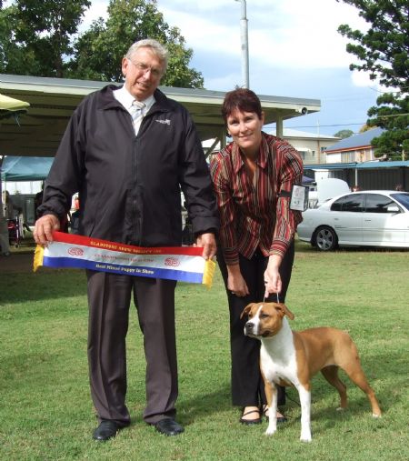 Trixi 8 months old winning her first Minor Puppy In Show