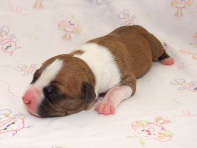 Trixi 2 days old