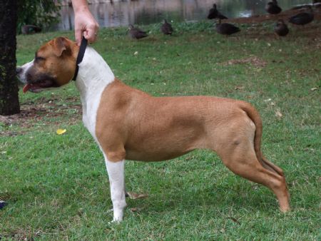 Trixi 6.5 months old
