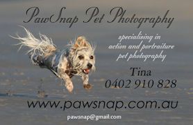 PawSnap Pet Photography