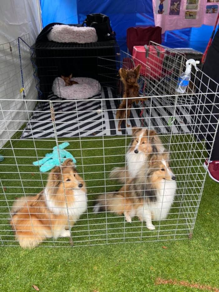 May be an image of 3 people and dog